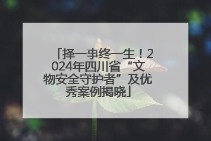 择一事终一生！2024年四川省“文物安全守护者”及优秀案例揭晓