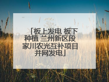 板上发电 板下种植 兰州新区段家川农光互补项目并网发电