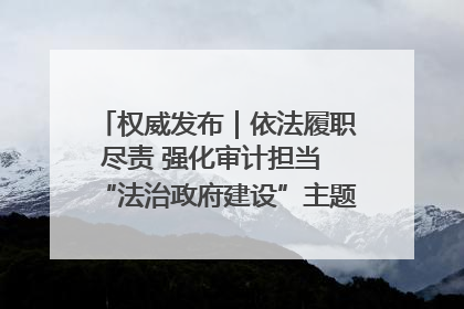 权威发布｜依法履职尽责 强化审计担当 “法治政府建设”主题系列新闻发布会市审计局专场召开
