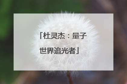 杜灵杰：量子世界追光者