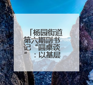 杨园街道第六期副书记“圆桌谈”：以基层治理实践助力战略支点建设