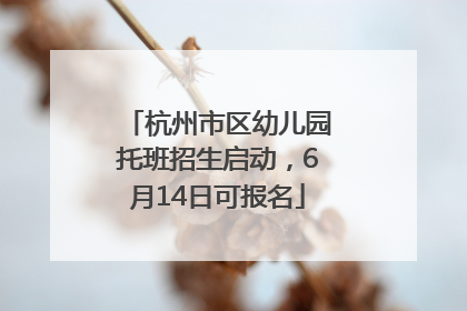 杭州市区幼儿园托班招生启动，6月14日可报名