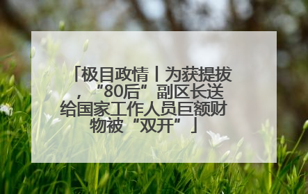 极目政情丨为获提拔，“80后”副区长送给国家工作人员巨额财物被“双开”