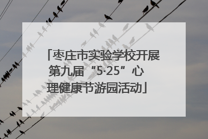 枣庄市实验学校开展第九届“5·25”心理健康节游园活动