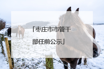 枣庄市市管干部任前公示