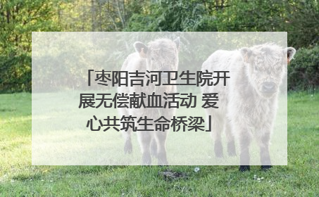 枣阳吉河卫生院开展无偿献血活动 爱心共筑生命桥梁