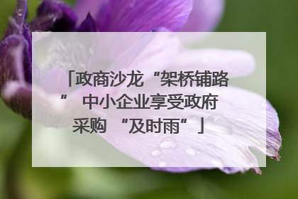 政商沙龙“架桥铺路” 中小企业享受政府采购 “及时雨”