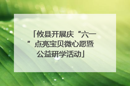 攸县开展庆“六一”点亮宝贝微心愿暨公益研学活动
