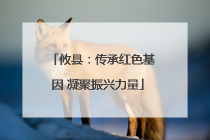 攸县：传承红色基因 凝聚振兴力量