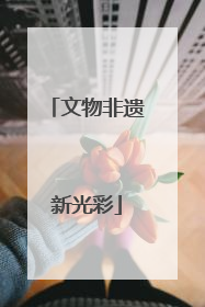 文物非遗新光彩