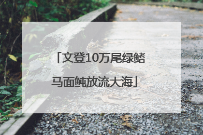 文登10万尾绿鳍马面鲀放流大海
