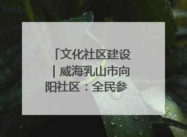 文化社区建设｜威海乳山市向阳社区：全民参与 共建共享