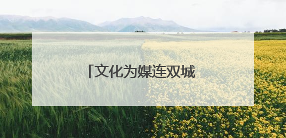 文化为媒连双城 艺术共舞谱新篇——塞尔维亚科瓦契察市代表团访问日照