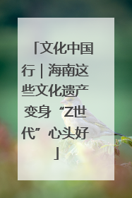 文化中国行｜海南这些文化遗产变身“Z世代”心头好