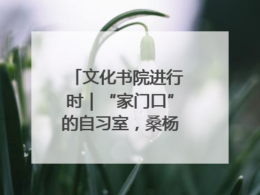 文化书院进行时｜“家门口”的自习室，桑杨社区织就15分钟学习生活圈