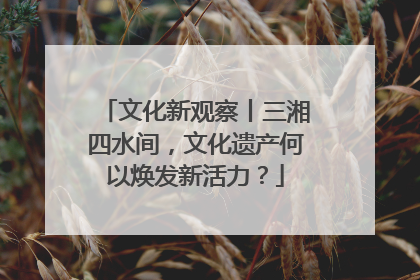 文化新观察丨三湘四水间，文化遗产何以焕发新活力？
