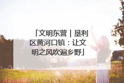 文明东营｜垦利区黄河口镇：让文明之风吹遍乡野