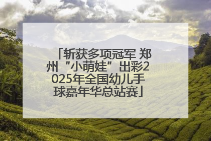 斩获多项冠军 郑州“小萌娃”出彩2025年全国幼儿手球嘉年华总站赛