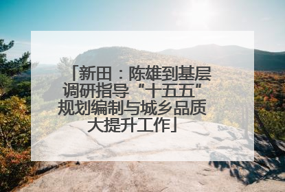 新田：陈雄到基层调研指导“十五五”规划编制与城乡品质大提升工作