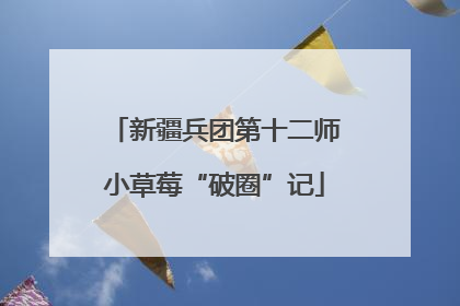 新疆兵团第十二师小草莓“破圈”记