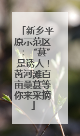 新乡平原示范区：“葚”是诱人！黄河滩百亩桑葚等你来采摘