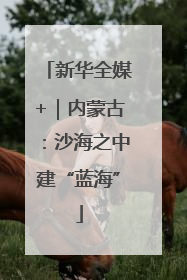 新华全媒+｜内蒙古：沙海之中建“蓝海”