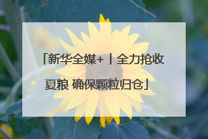 新华全媒+丨全力抢收夏粮 确保颗粒归仓