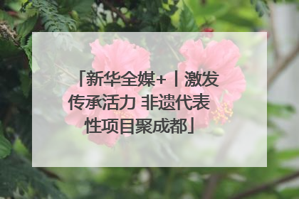 新华全媒+丨激发传承活力 非遗代表性项目聚成都