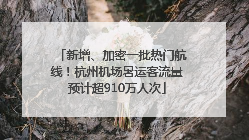 新增、加密一批热门航线！杭州机场暑运客流量预计超910万人次
