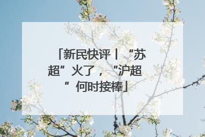 新民快评丨“苏超”火了，“沪超”何时接棒