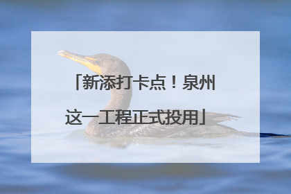 新添打卡点！泉州这一工程正式投用