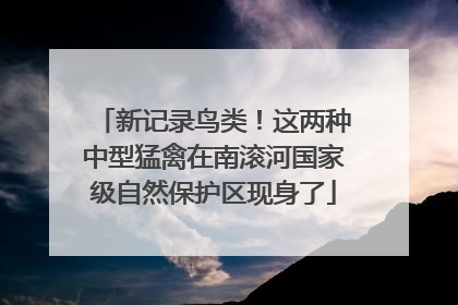 新记录鸟类！这两种中型猛禽在南滚河国家级自然保护区现身了