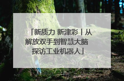 新质力 新津彩丨从解放双手到智慧大脑 探访工业机器人
