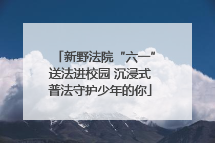 新野法院“六一”送法进校园 沉浸式普法守护少年的你