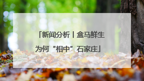 新闻分析丨盒马鲜生为何“相中”石家庄