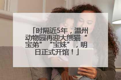 时隔近5年，温州动物园再迎大熊猫“宝弟”“宝妹”，明日正式开馆！