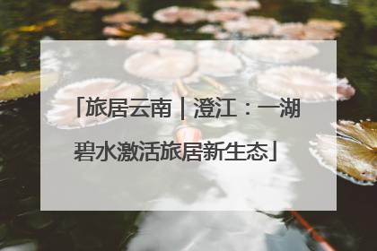 旅居云南｜澄江：一湖碧水激活旅居新生态