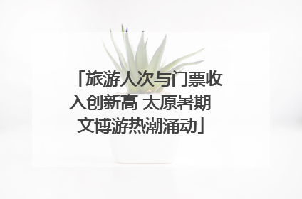 旅游人次与门票收入创新高 太原暑期文博游热潮涌动