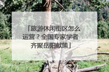 旅游休闲街区怎么运营？全国专家学者齐聚岳阳献策