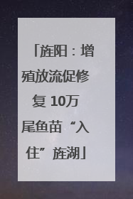 旌阳：增殖放流促修复 10万尾鱼苗“入住”旌湖