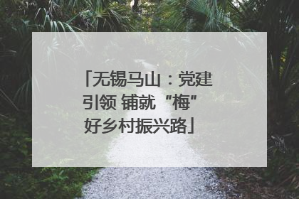 无锡马山：党建引领 铺就“梅”好乡村振兴路