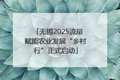 无锡2025流量赋能农业发展“乡村行”正式启动