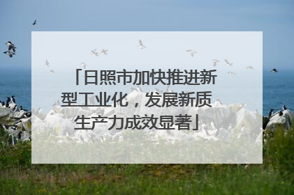 日照市加快推进新型工业化，发展新质生产力成效显著