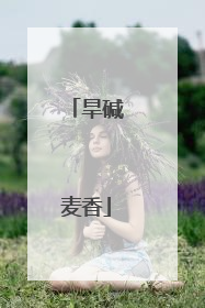 旱碱麦香
