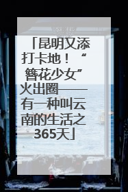 昆明又添打卡地！“簪花少女”火出圈——有一种叫云南的生活之365天