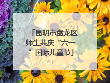 昆明市盘龙区师生共庆“六一”国际儿童节