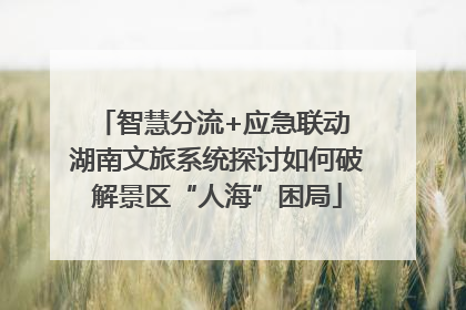 智慧分流+应急联动 湖南文旅系统探讨如何破解景区“人海”困局