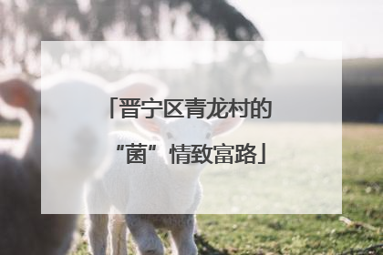 晋宁区青龙村的“菌”情致富路