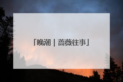 晚潮｜蔷薇往事