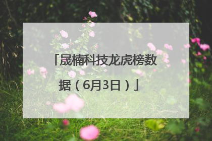 晟楠科技龙虎榜数据（6月3日）